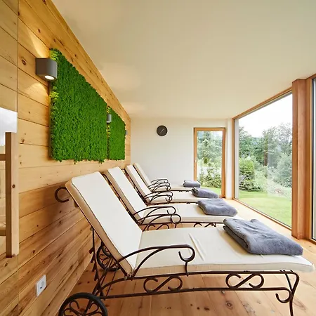 Hotel Natur- & Geniesserhotel Der Birkenhof Oberstaufen